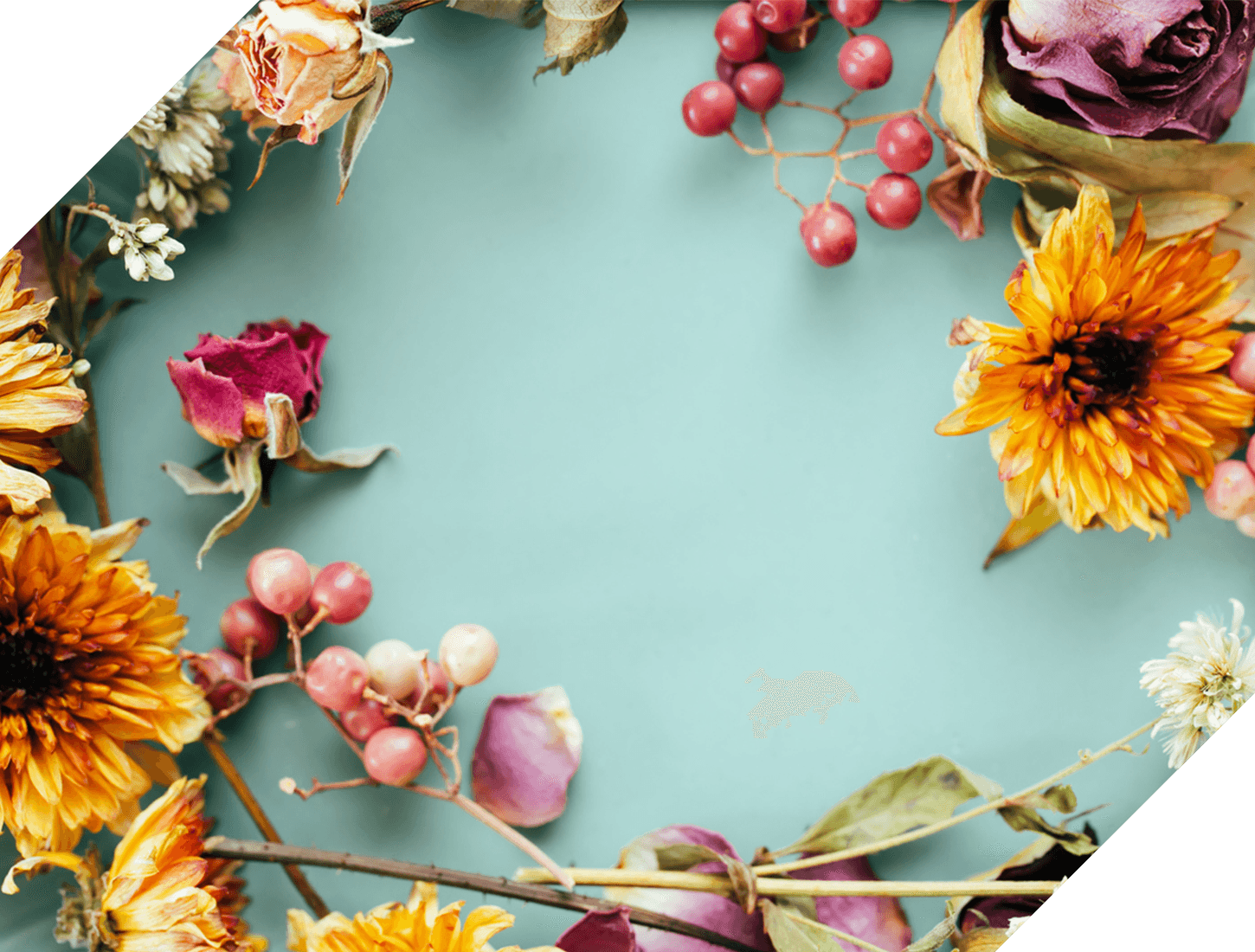 あなたの魅力を惹き出すヘアサロン。毎日のスタイリングのお悩みやくせ毛カバーもおまかせください。